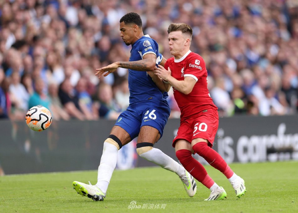 近日透露 近日透露