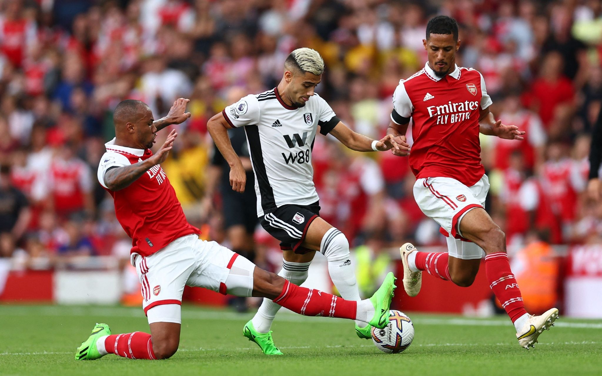 凯尔特人在 凯尔特人在